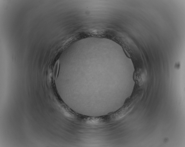 X0000096680235200802261523
