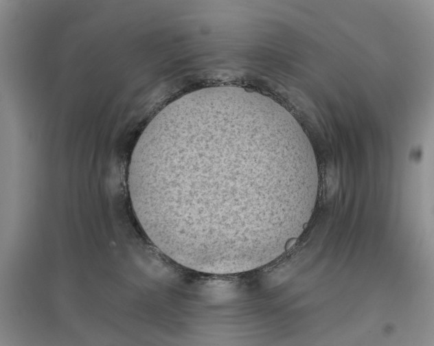 X0000096680236200802261523