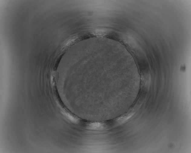 X0000096680237200802261523