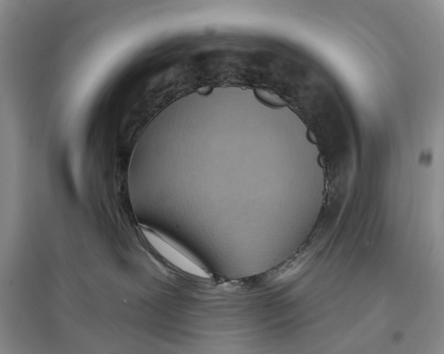 X0000096680239200802261523