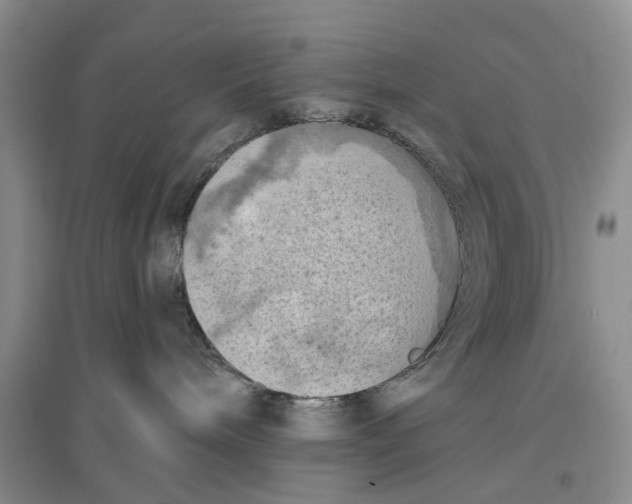 X0000096680240200802261523