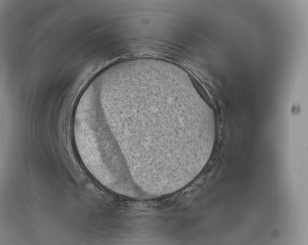 X0000096680241200802261523