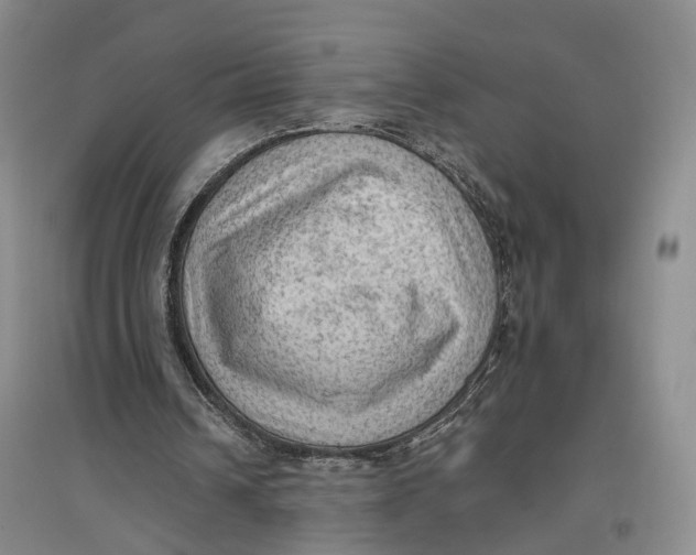 X0000096680242200802261523