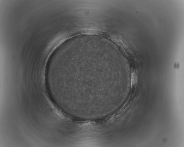 X0000096680243200802261523