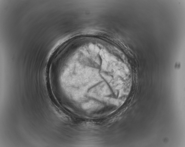 X0000096680244200802261523