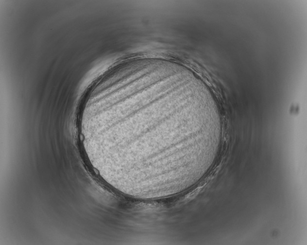 X0000096680245200802261523