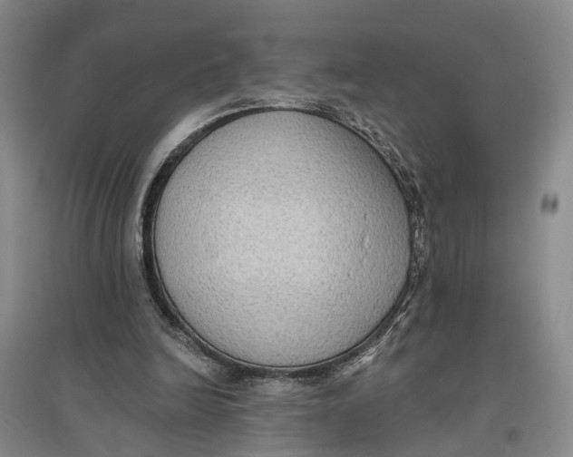 X0000096680246200802261523