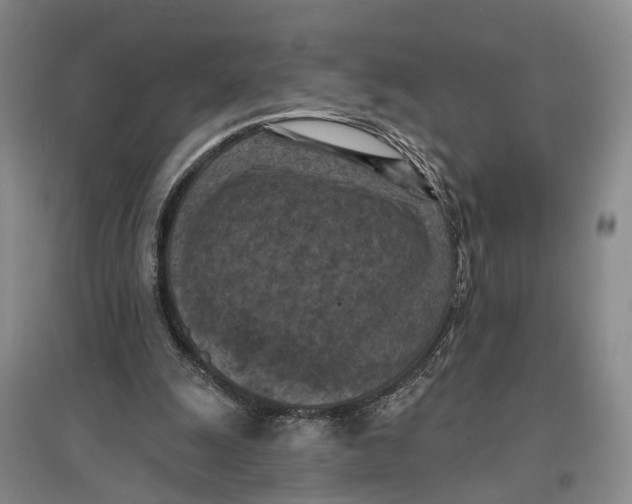 X0000096680247200802261523