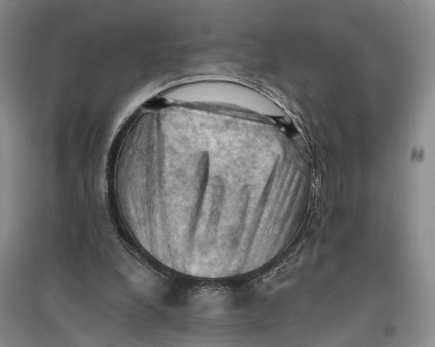 X0000096680248200802261523