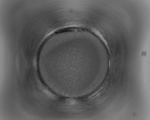 X0000096680249200802261523