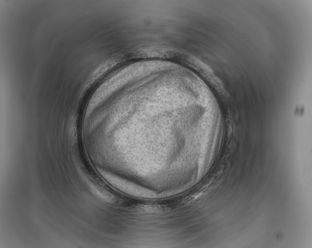 X0000096680250200802261523