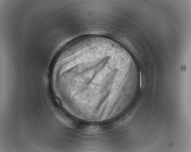 X0000096680252200802261523