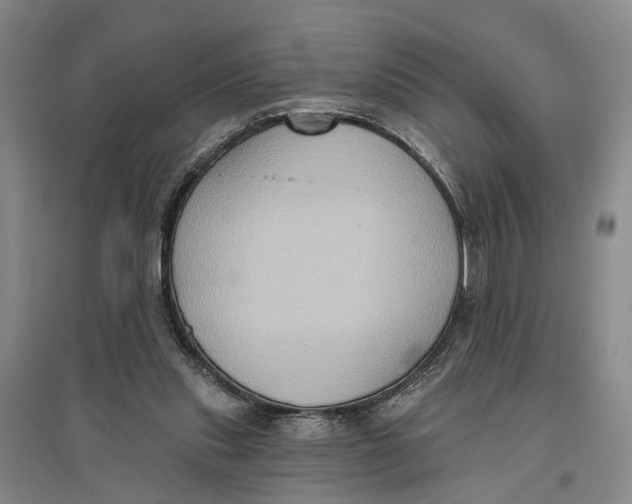 X0000096680253200802261523