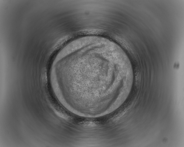 X0000096680254200802261523