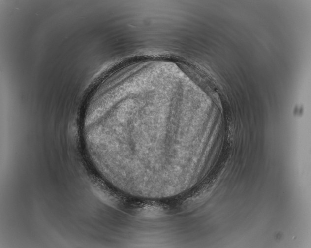 X0000096680256200802261523