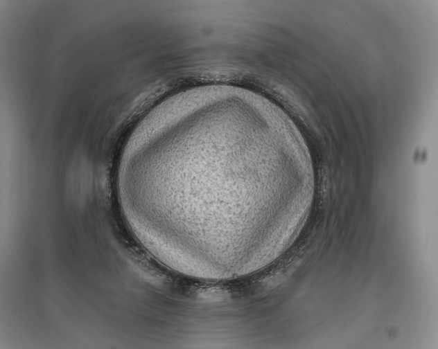 X0000096680258200802261523