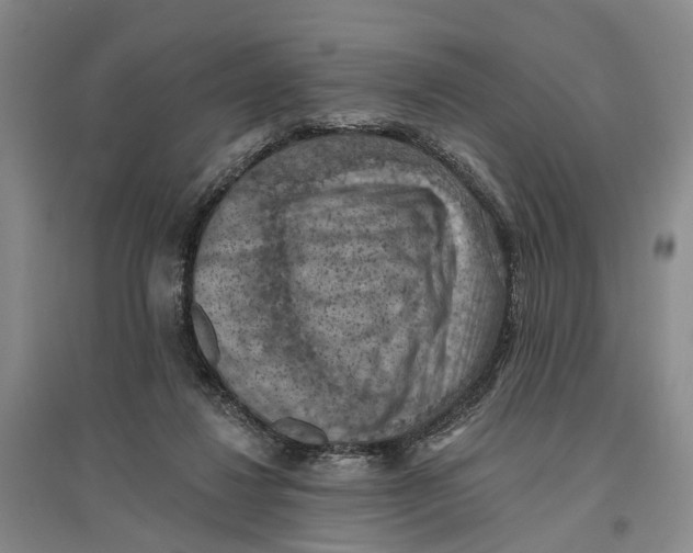 X0000096680260200802261523