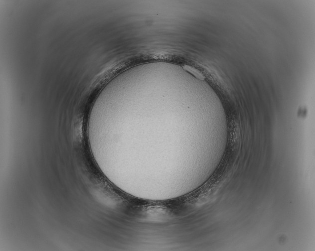 X0000096680262200802261523