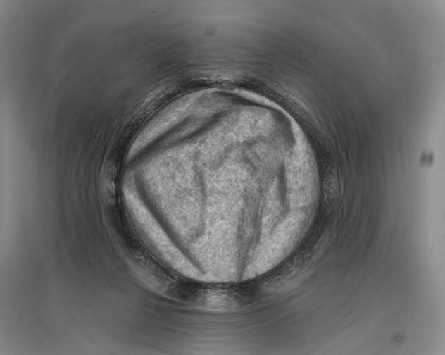 X0000096680264200802261523