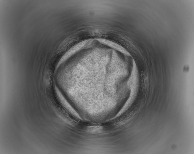 X0000096680266200802261523