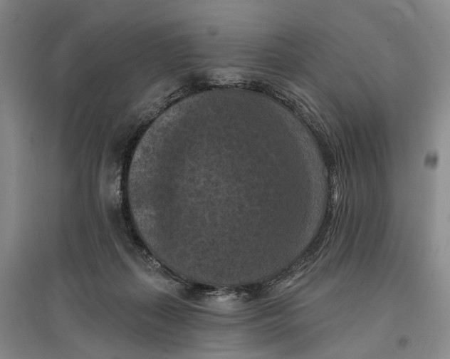 X0000096680267200802261523
