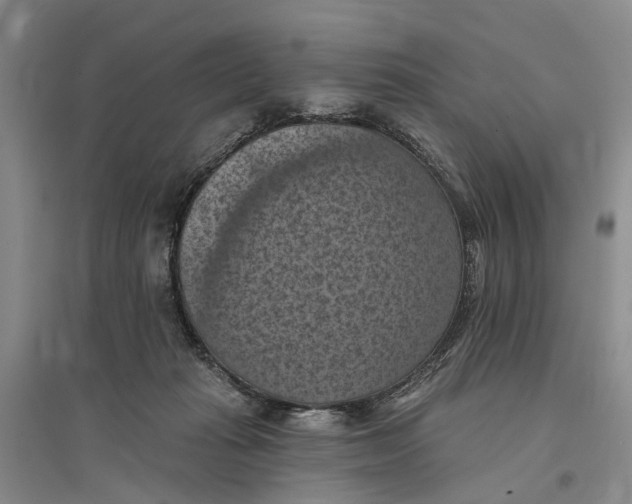 X0000096680269200802261523