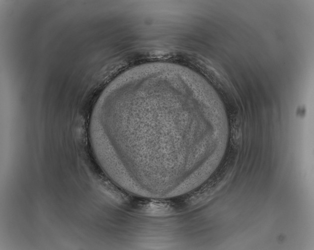 X0000096680270200802261523