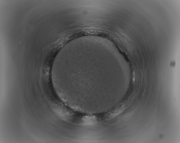 X0000096680271200802261523