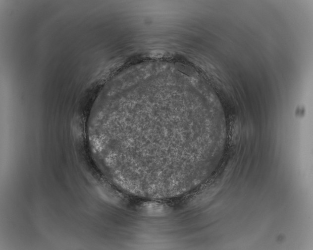 X0000096680272200802261523