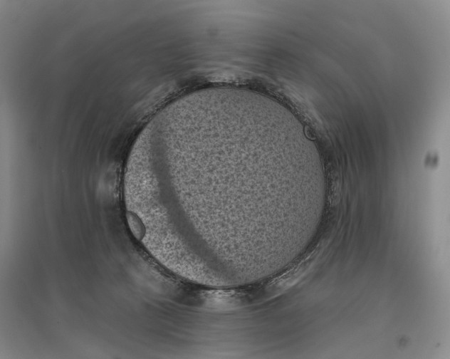 X0000096680273200802261523