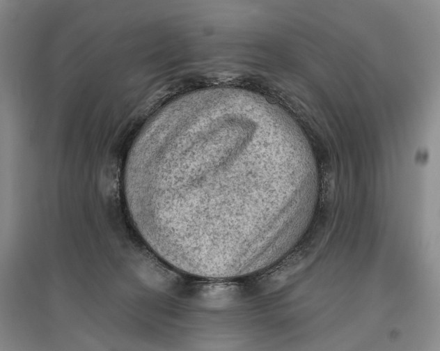 X0000096680274200802261523