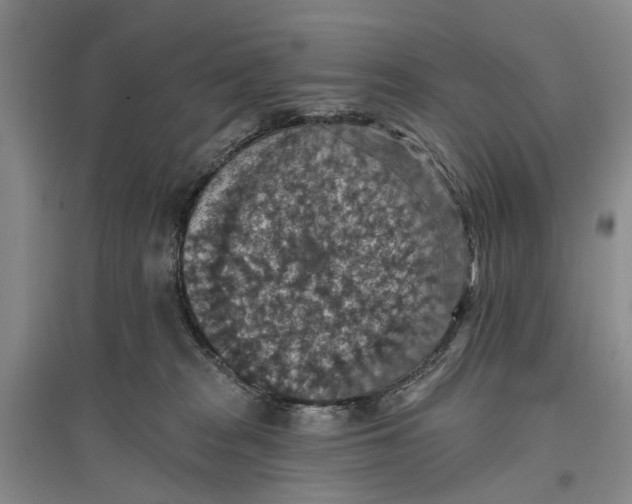 X0000096680277200802261523