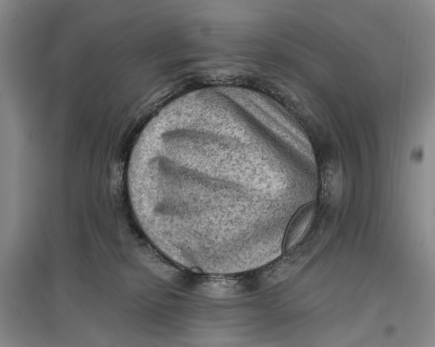 X0000096680278200802261523