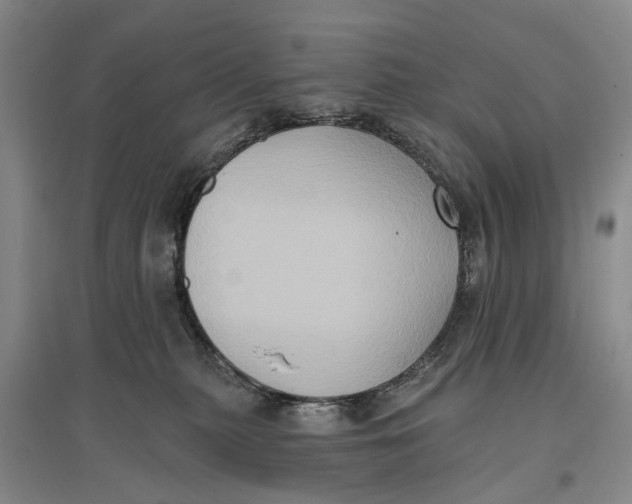 X0000096680279200802261523