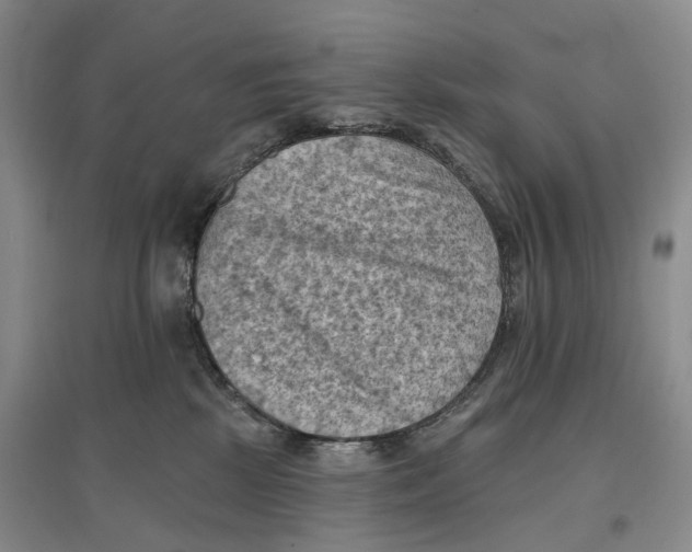 X0000096680281200802261523