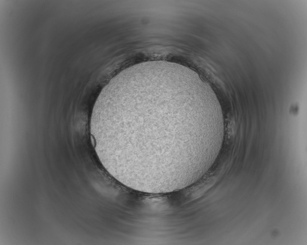 X0000096680283200802261523