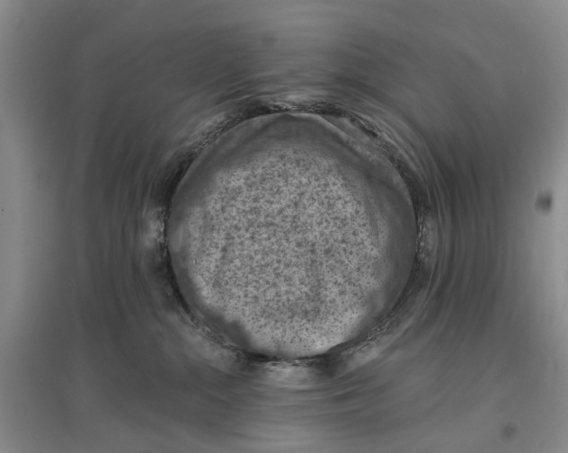 X0000096680284200802261523