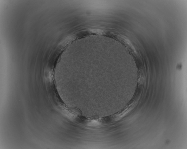 X0000096680285200802261523