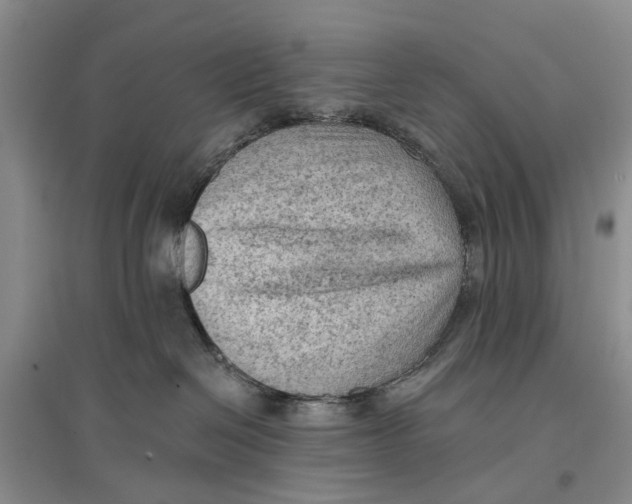 X0000096680286200802261523