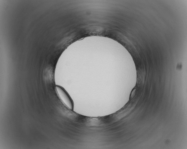 X0000096680287200802261523