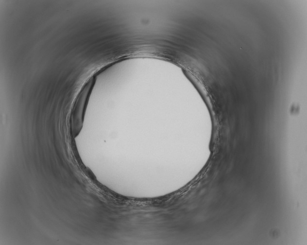X0000096680289200802261523