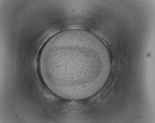 X0000096680290200802261523