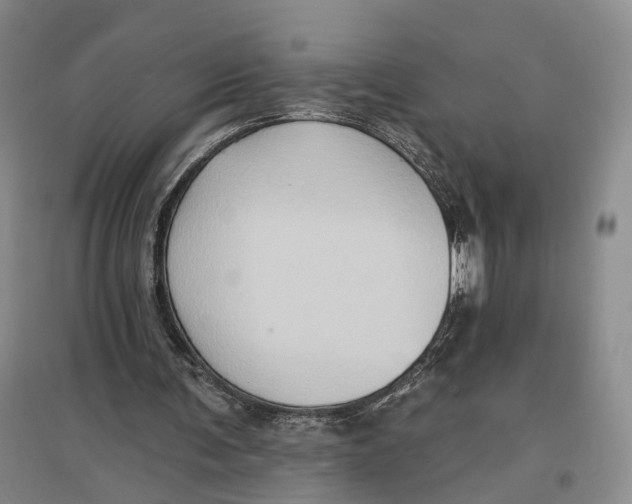 X0000096680291200802261523