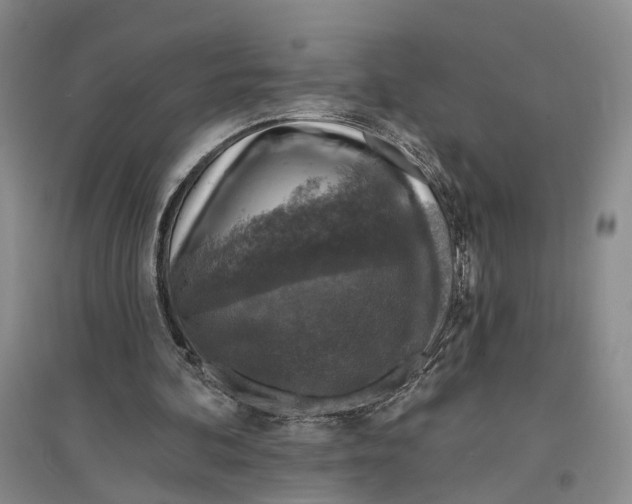 X0000096680292200802261523