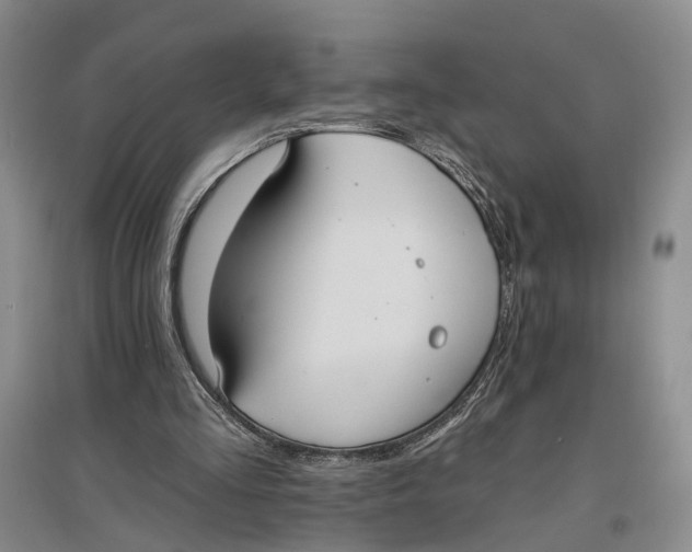 X0000096680293200802261523