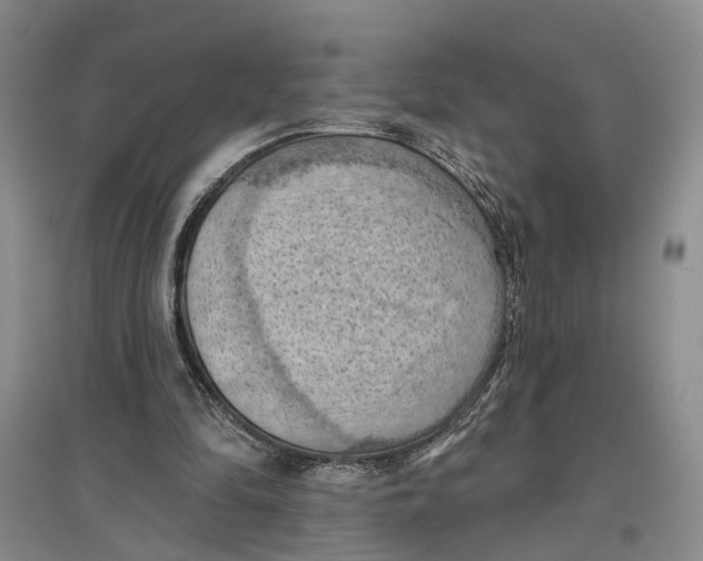X0000096680294200802261523