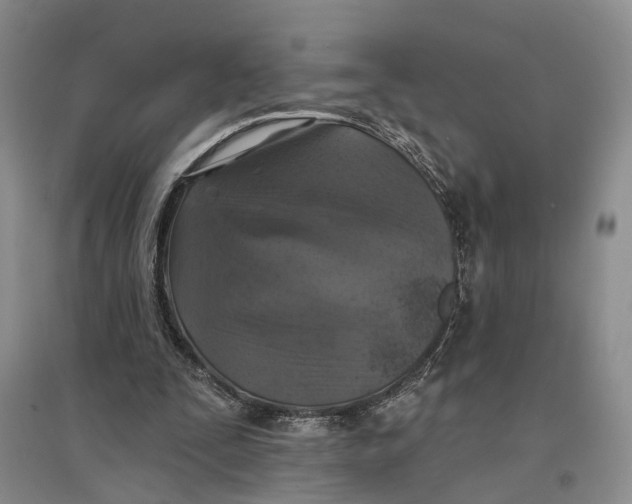 X0000096680295200802261523