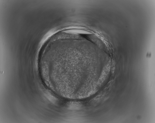 X0000096680296200802261523
