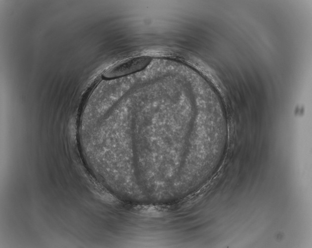 X0000096680297200802261523