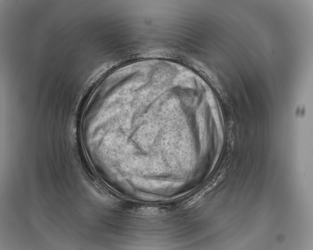 X0000096680298200802261523